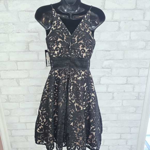 Xscape Lace Party Dress - Picture 7 of 9